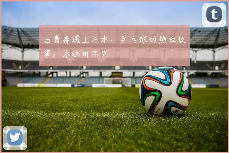 当青春遇上汗水，乒乓球的热血故事，永远讲不完