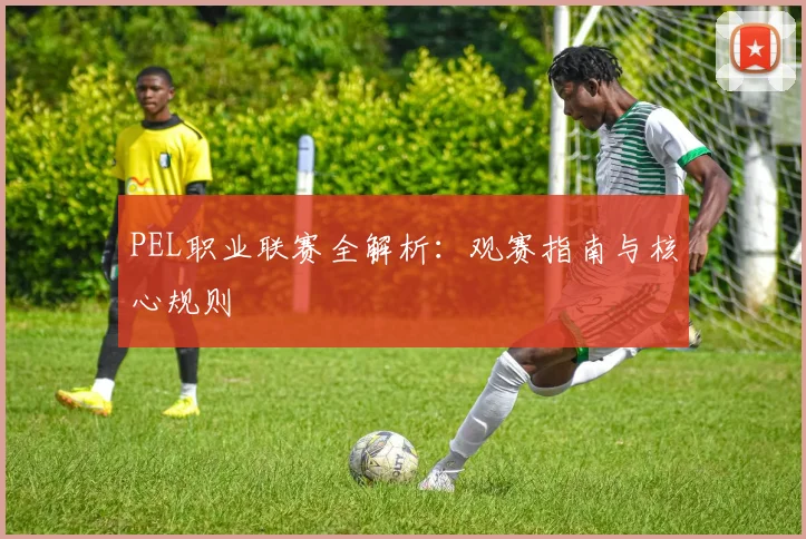 PEL职业联赛全解析：观赛指南与核心规则