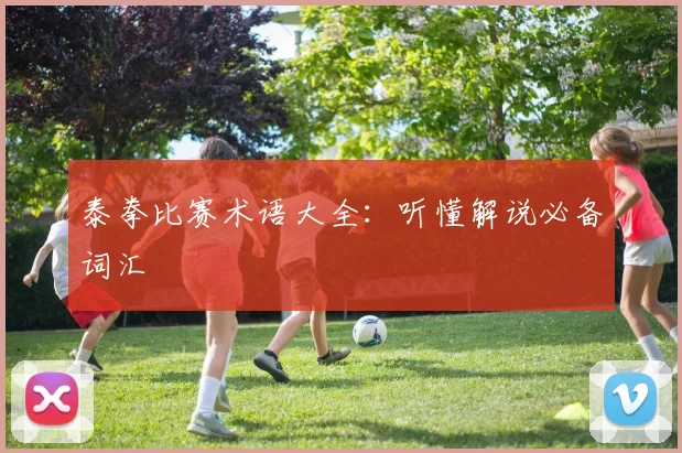 泰拳比赛术语大全：听懂解说必备词汇