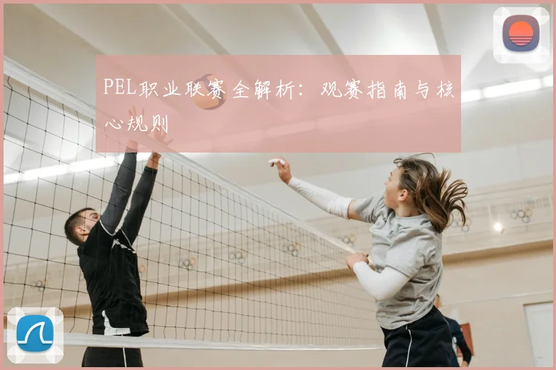 PEL职业联赛全解析:观赛指南与核心规则