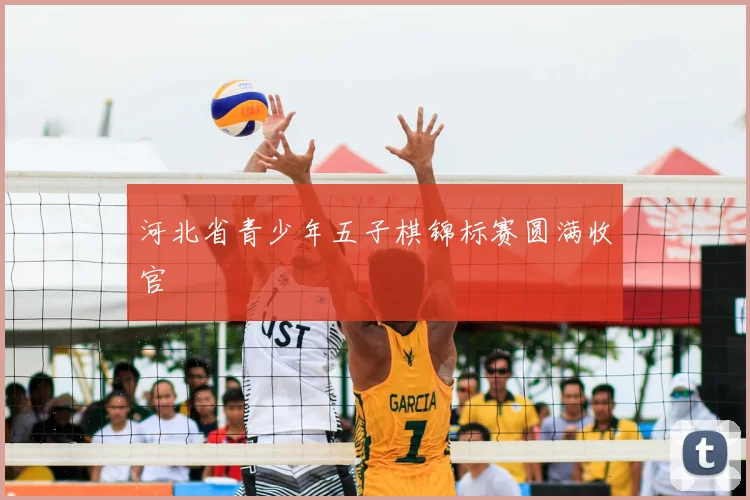 河北省青少年五子棋锦标赛圆满收官