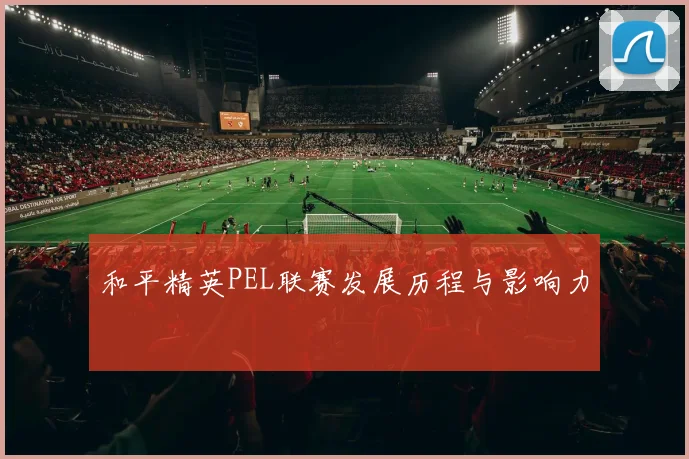 和平精英PEL联赛发展历程与影响力