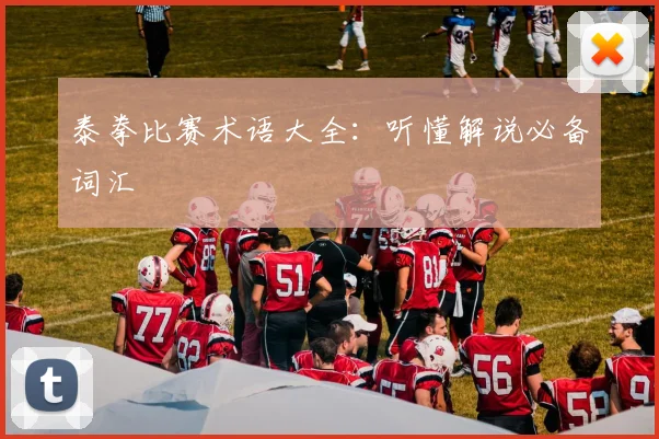 泰拳比赛术语大全：听懂解说必备词汇