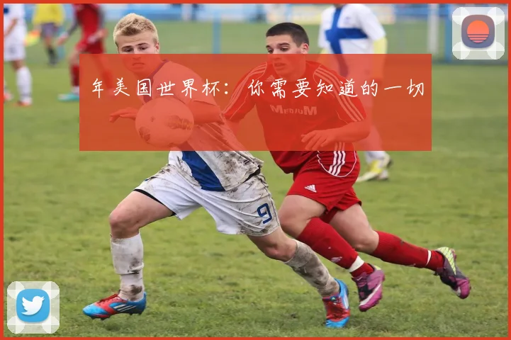 年美国世界杯:你需要知道的一切