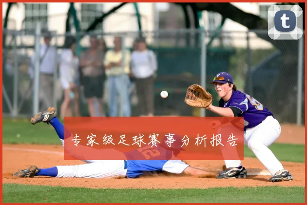 专家级足球赛事分析报告