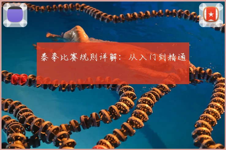 泰拳比赛规则详解：从入门到精通