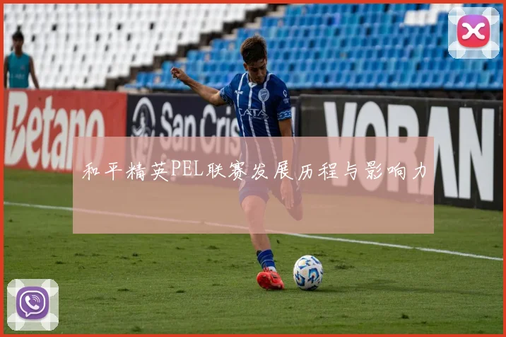 和平精英PEL联赛发展历程与影响力